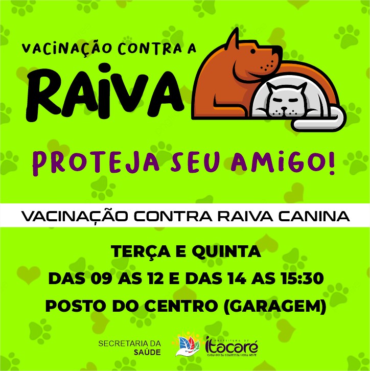 Prefeitura de Itacaré inicia campanha de vacinação de cães e gatos