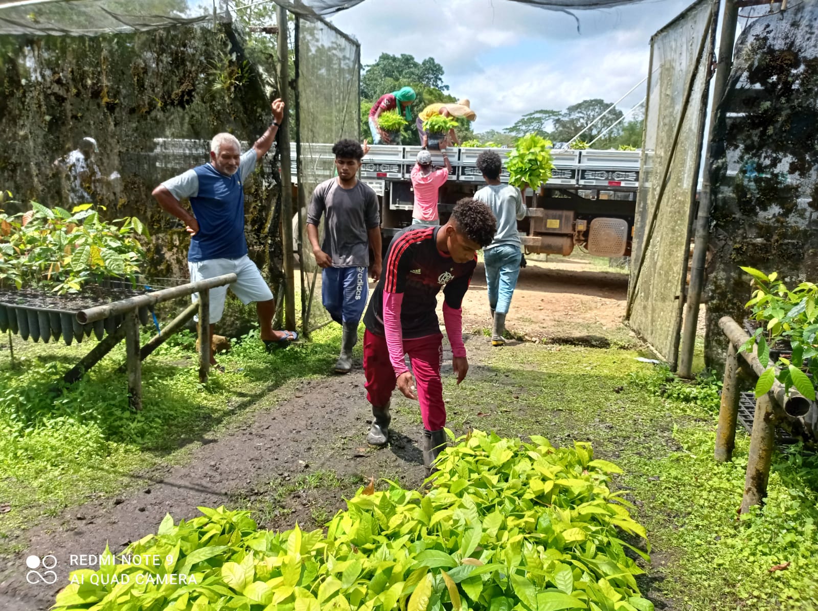 Agricultores familiares de Itacaré serão beneficiados com a distribuição de mudas