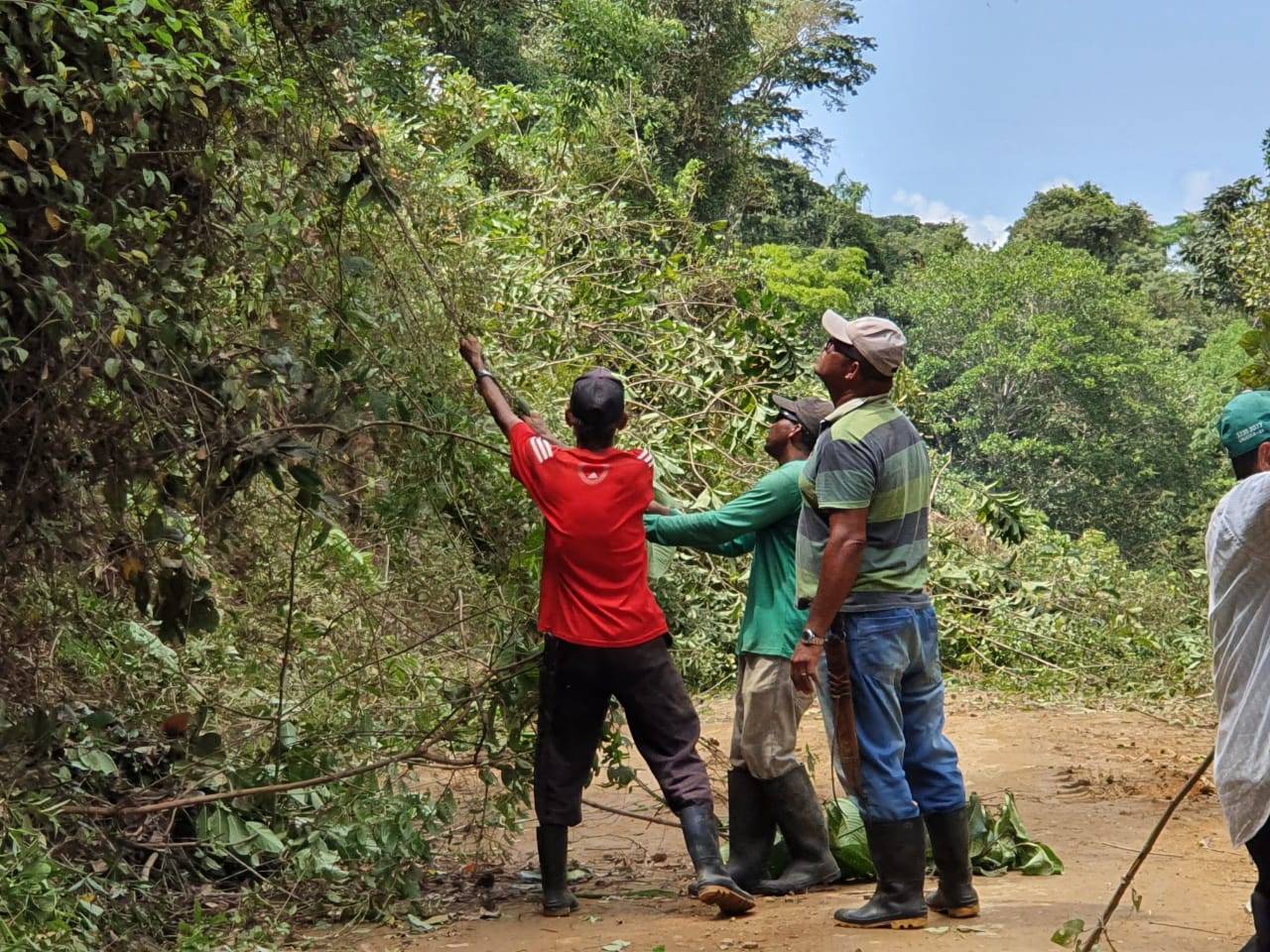 Prefeito de Itacaré participa de mutirão de limpeza da estrada Taboquinhas/Uruçuca