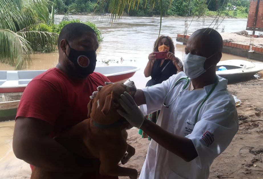 Prefeitura de Itacaré e clínica atendem animais atingidos pelas enchentes |  Prefeitura Municipal de Itacaré