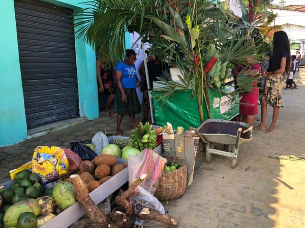 Programa Feira Verde retorna nesta  quarta-feira no distrito de Taboquinhas