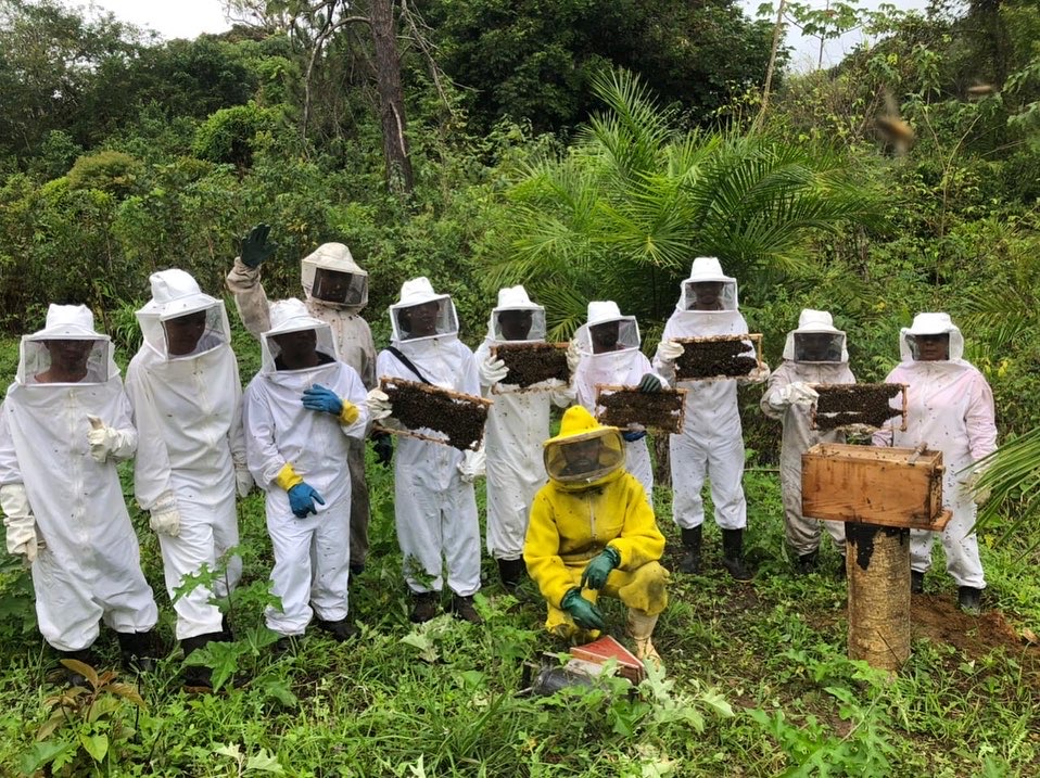 Prefeitura de Itacaré, SENAR e CDS-LS realizam curso de apicultura básico.