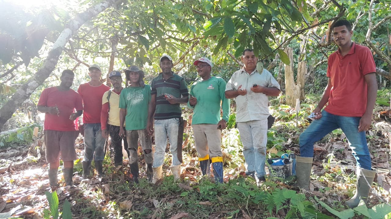 Prefeitura Municipal investe na agricultura familiar